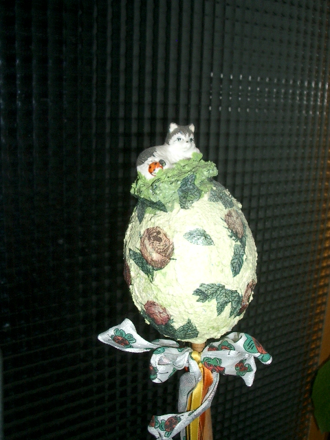 IMGP1106