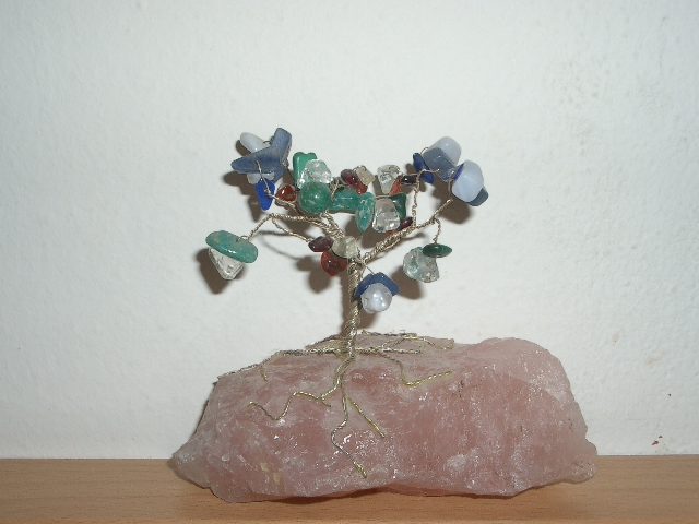 IMGP1168