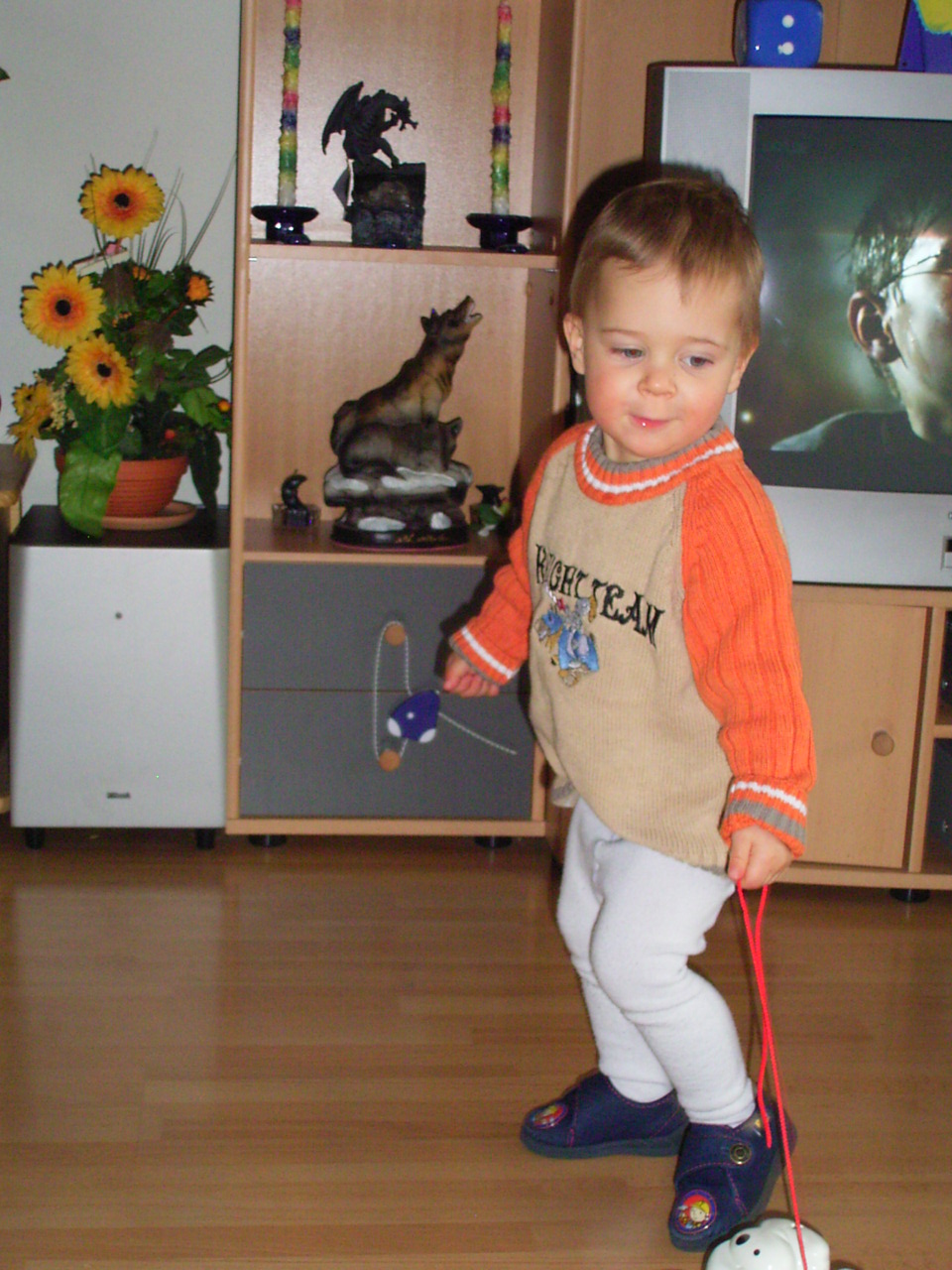 Marcel (1037)