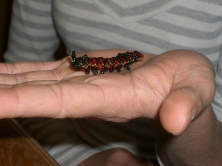raupe